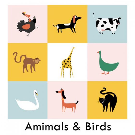 Animals & Birds